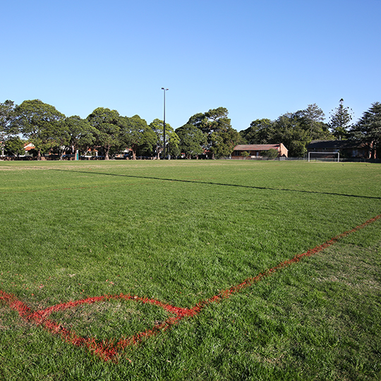  Balmain Road Sporting Ground soccer pitch